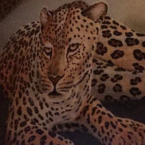 Meet your Posher, Marisol